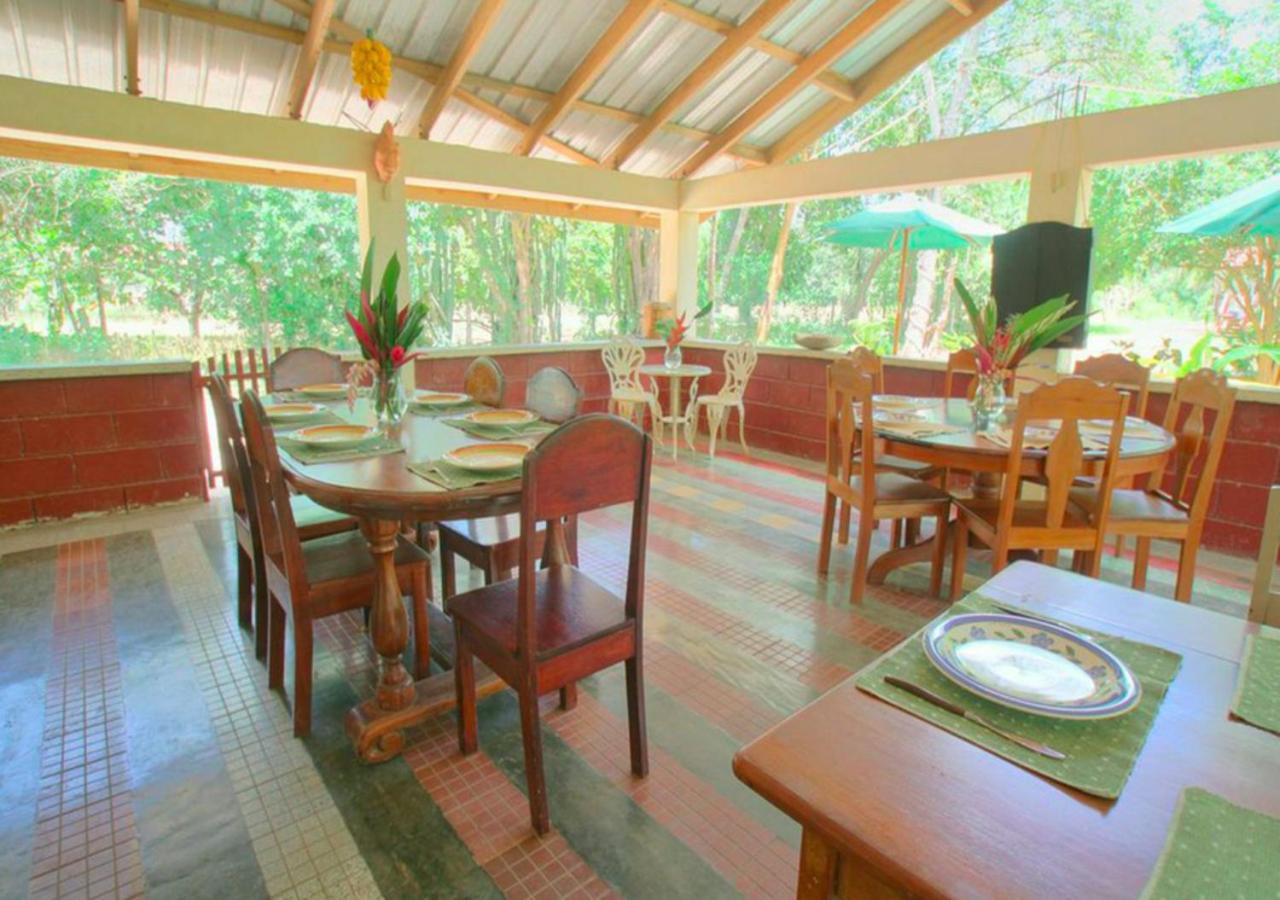 Midas Resorts San Ignacio Restoran gambar
